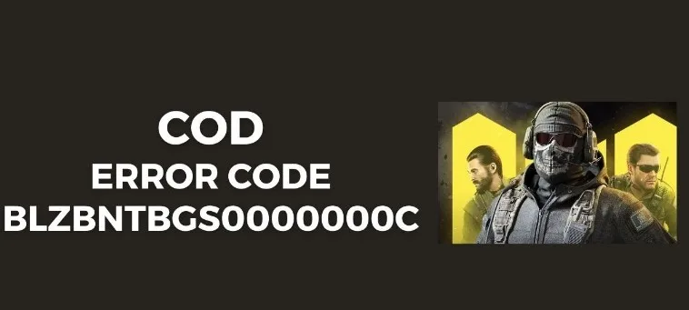 How To Fix COD Error Code blzbntbgs0000000c ?
